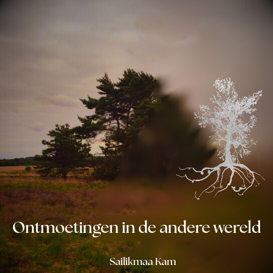 Ontmoetingen in de andere wereld